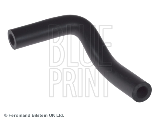 Hose, crankcase ventilation